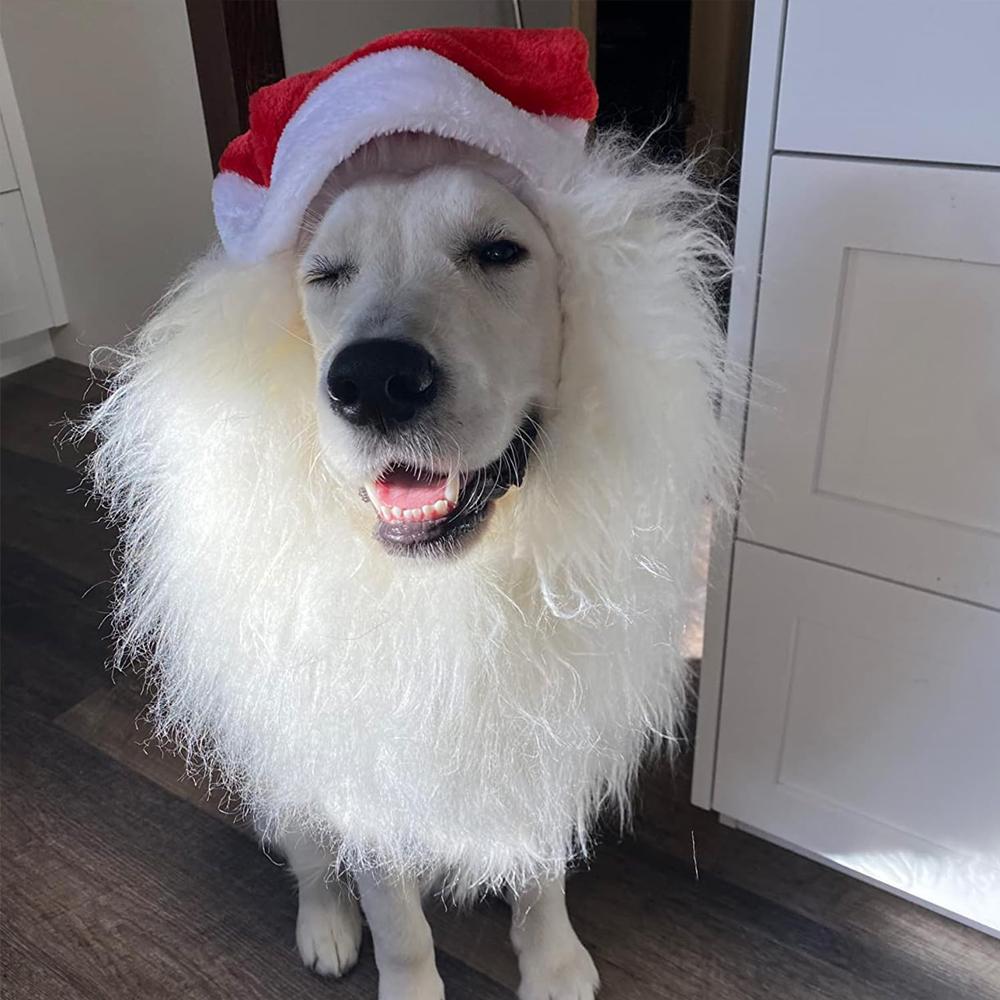 1PC Cute Christmas Dog Hat with Lion's Mane Cosplay Santa Claus Costumes Realistic Lion Wig for Pet Dog with Ear Pet Accessories