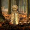 Auraa Desire Cedar Paradise Extrait de Parfum 100ml