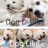 Hot Selling Durable TPR Molar Teeth Chew Toys Large Medium Dog Teeth Cleaning Pet Toys