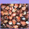 Beautiful Madagascar Banded Agate Mineral Specimen For Home Decor And Collections