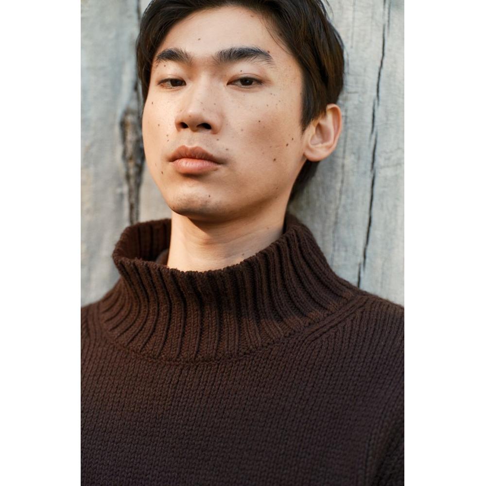 H M Regular Fit Turtleneck Sweater Dark Brown