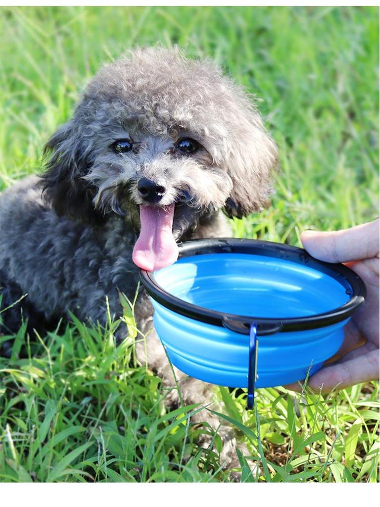 Portable Foldable Silicone Pet Feeding Bowl for Cats and Dogs
