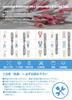 IWISS Ratchet Type Insulated Terminal Crimping Tool MultiCrimper Crimping Series
