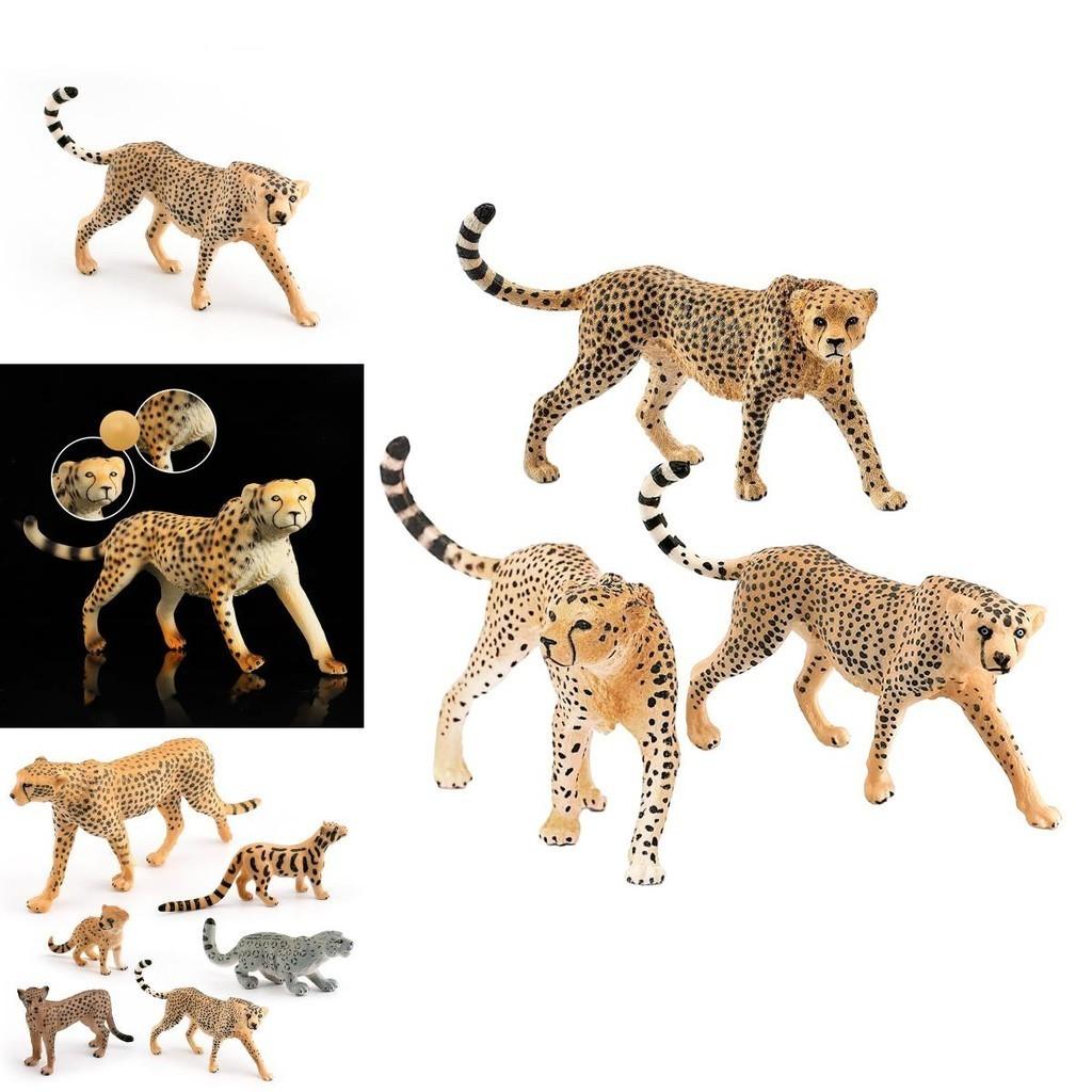 Realistic Wild Animal Model Cheetah Head Up Clouded Leopard African Leopard Indian Leopard Desktop Decor Toy 10*2.5*6.5cm)