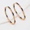 Gold-Plated Leopard Print Zircon Hoop Earrings: Fashionable European & American Style Multi-Design Studs