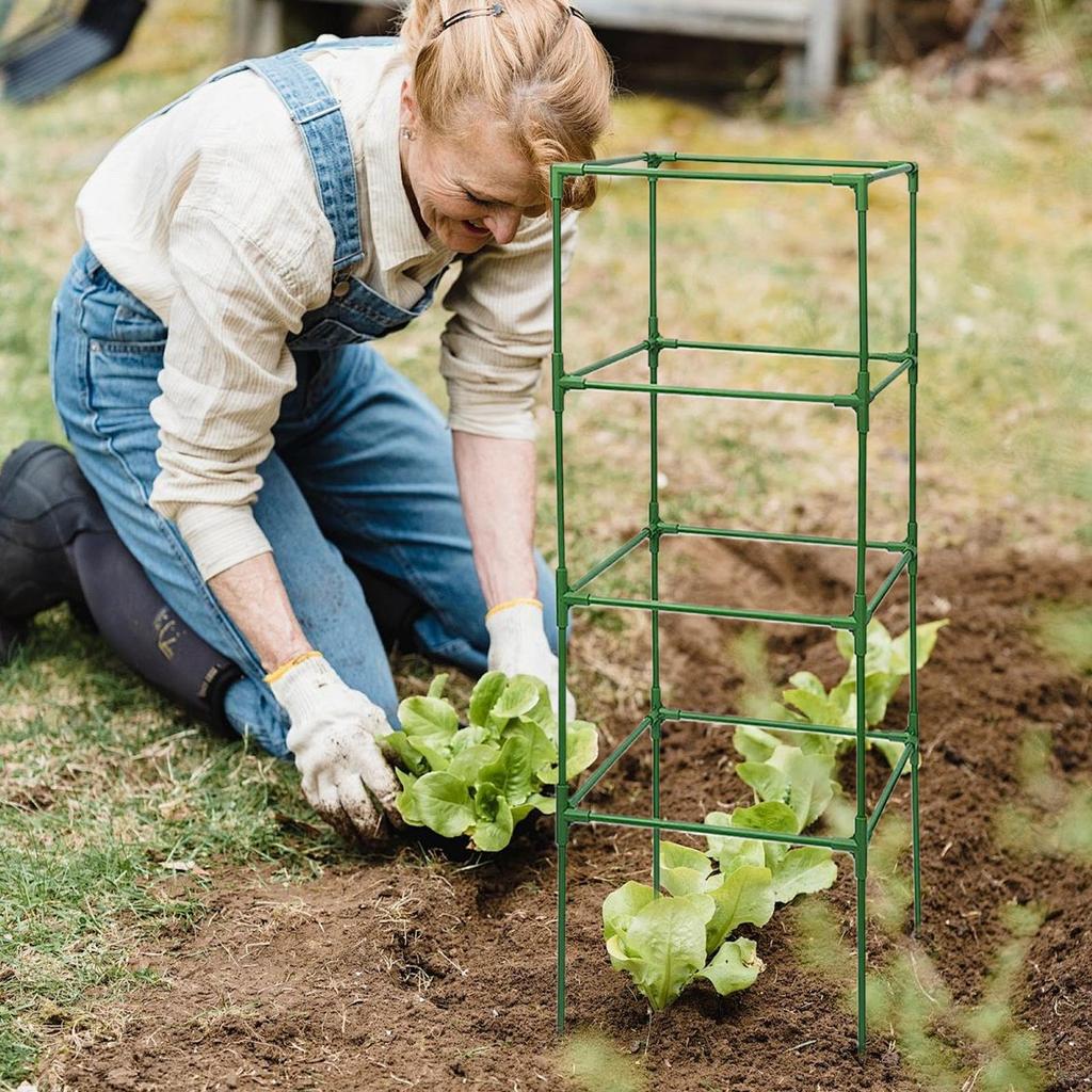 Tomato Trellis for Garden Planter Pots 3 Piece Heavy-Duty Rack for Climbing Vegetables Fruit Beans Peony Rose Flower Tomato Cage