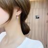 Diamond Earrings for Women Moissanite Ear Hook Four-Claw Jewelry for Her Birthday Christmas Gift