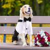 ASENKU Cute Dog Tuxedo for Small Dogs, Handsome Tuxedo for Dogs with Black Bow Tie for Party Birthday Wedding, Beautiful Dog Outfit for Frenchie,