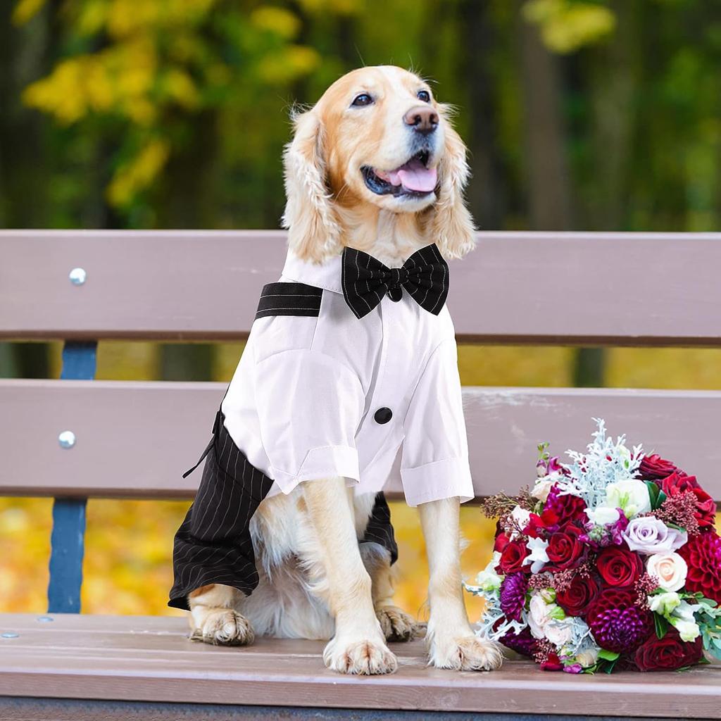 ASENKU Cute Dog Tuxedo for Small Dogs, Handsome Tuxedo for Dogs with Black Bow Tie for Party Birthday Wedding, Beautiful Dog Outfit for Frenchie,