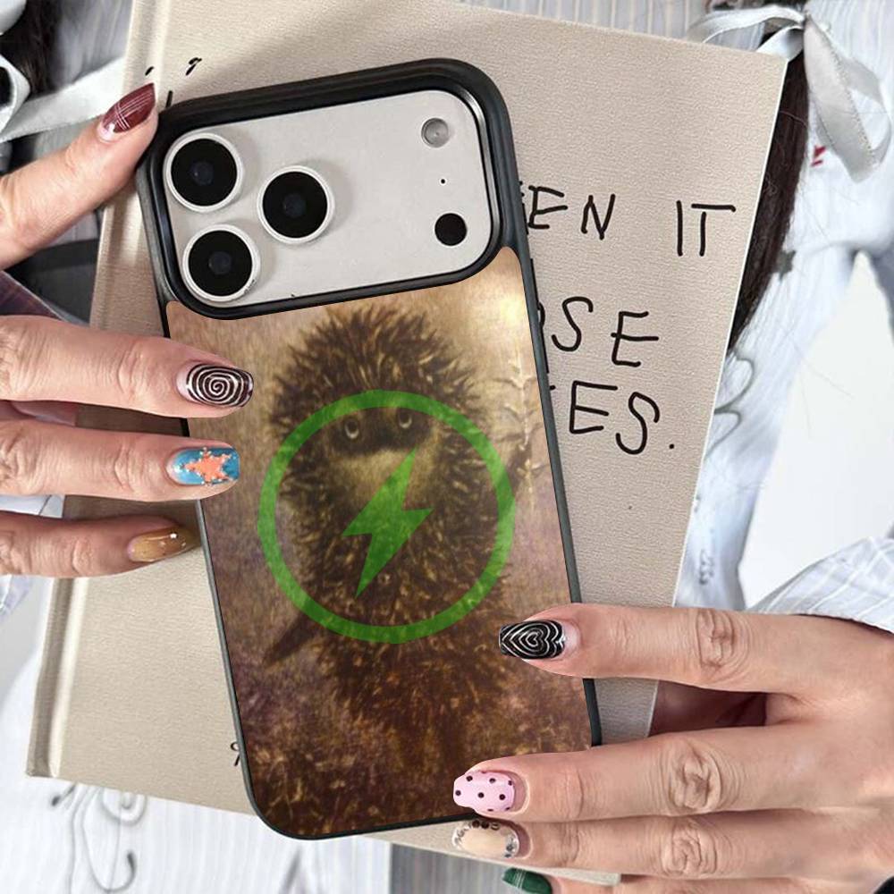 

Bright Hedgehog In The Fog For Magsafe Wireless Charge Case For iPhone 17 16 15 14 13 12 11 15 Pro Max Magnetic Cover iPhone 12pro max