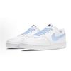 Nike Court Vision 1 Abrasion Resistant Slip Resistant Low Top Skateboard Shoes Men's Blue White DH2987-101(Team2148)