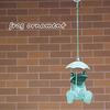 Murataya Sangyo Hanging Frog Umbrella 11 x 11 x 16 4876 Figurine, Approx. cm, Green,