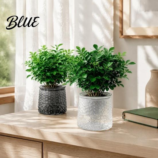 Clear Plastic Planters Self‑Watering Planter Pot Thick Transparent Flower Embossed Pothos Anthurium Growing Pots Decorative Indoor for Hydroponic