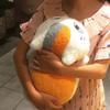 Cute Natsume Yuujinchou Nyanko Sensei Plush High quality Cat Anime Doll Toy Xmas Christmas Gift