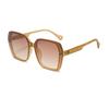 New Large Frame Women's Sun Sunglasses Simple and Elegant Gradient High Beauty Trendy Versatile Glasses