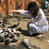Jachetă de protecție solară de vară pentru femei, bluză pentru femei, cămașă pentru femei, cardigan larg și respirabil