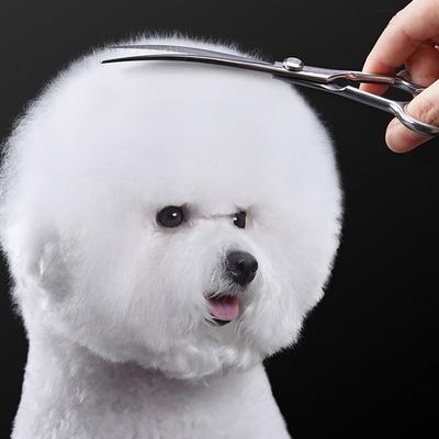 מספריים לטיפוח חיות מחמד Babion Pet EL עקומים בזווית 20 מעלות E2-701C 19 ס"מ, שמפו קוריאני לחיות מחמד