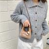 Fashion versatile lamb wool plush bag women's season autumn and winter new niche design exquisite messenger shoulder bag
