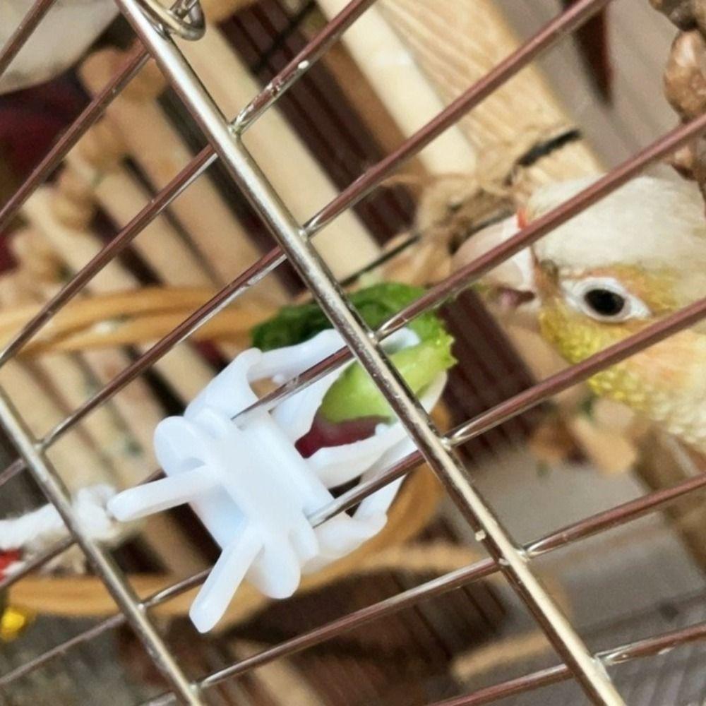 6Pcs Plastic Pet Bird Food Clip Mini Portable Birds Food Holder Practical Parrot Fruit Vegetable Clip Pet Parrot Feeding