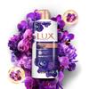 Lux Enchanting Lotus Fragrance Essential Oil Shower Gel