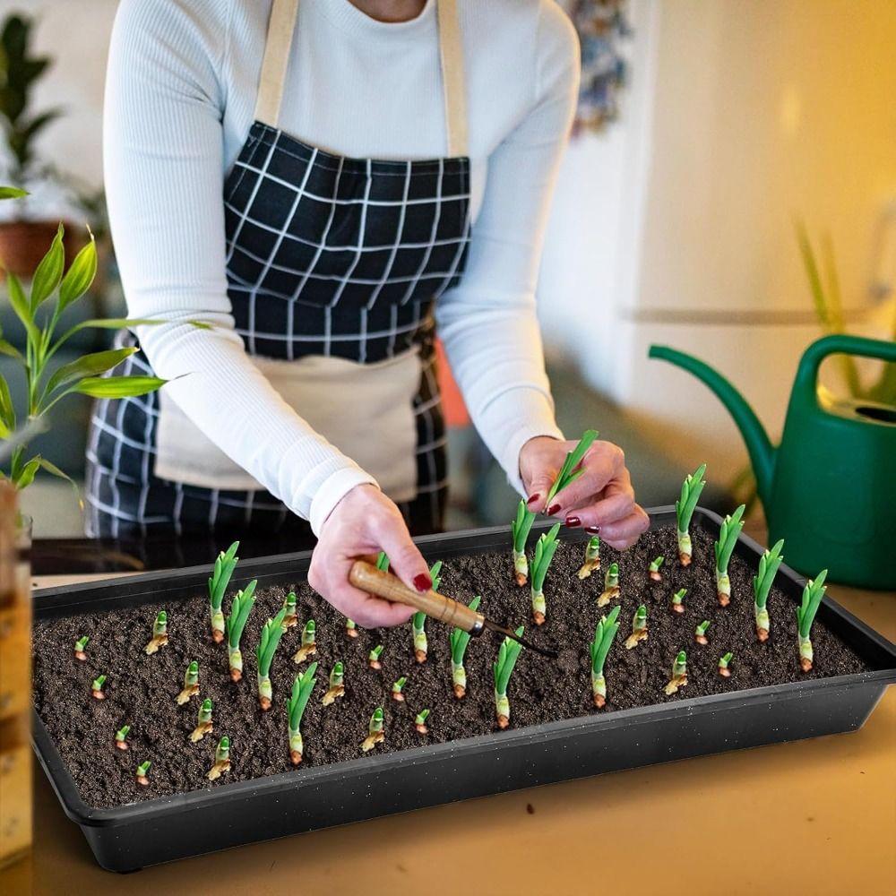 2pcs 21x10in Plastic Nursery Trays with Holes Hydroponic Growing Tray  Greenhouse