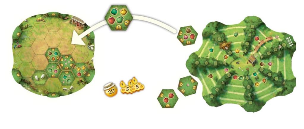 Arclight Applejack 30 ab 8 Jahren und Brettspiel (1-4 Spieler, Minuten, bis)