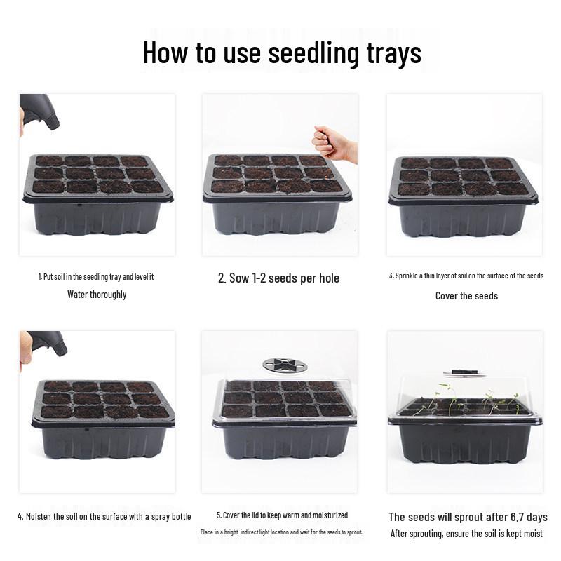 Transparent Tall Seedling Tray with Lid for Moisturizing and Heat-Preserving, Ideal for Succulent Cultivation and Seedlings
