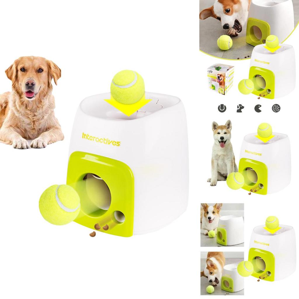 Educational Tennis Ball Hyper Game Training Machine For Active Dogs