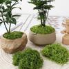 Bionischer Moosrasen: Künstliche Mikro-Landschaftsornamente für Rasen, Bonsai und Pflasterung.