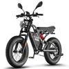 FAFREES F20 Ultra Electric Bicycle 750W Motor, 48V 25Ah Battery, 20*5.0 Inch Fat Tire, Mechanical Brakes, 80-100KM Range, Double Suspension E-Bike
