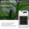 Aromatherapy Machine Refill: Long-Lasting Indoor Essential Oil Deodorizer