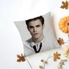 SStefan Salvatore Cushion Cover Washable Linen Pillowcase Soft  for Daily Sofa Bed Home Room Decor