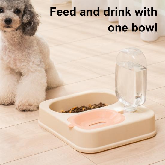Mangiatoia e Dispenser Acqua 2 in 1 per Animali Domestici Ciotola Alimentatore Automatico Acqua con Bottiglia da 500ml Mangiatoia Staccabile per Gatti Cani