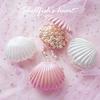 Shell Ring Kaelakee Kõrvarõngad Ehted Hoiu Korraldaja Box Case Charm Kingitus