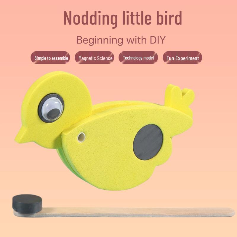 DIY Magnetic Bird Science Experiment Kit for Kids – STEM Educational Model Assembly