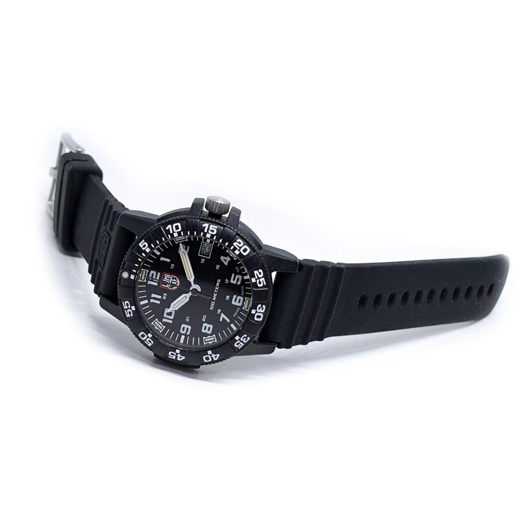 Used [Immediate delivery] LUMINOX LEATHERBACK SEA TURTLE GIANT 0300 SERIES