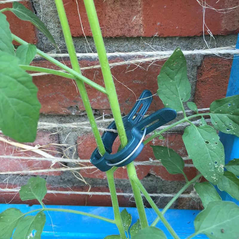 20 Horticulture Seedling Grafting and Pruning Clips for Flowers and Grasses [Various Sizes Available]