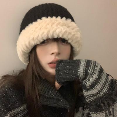 Plush Knitted Wool Hat Women's Autumn and Winter Warm Versatile Cute Face Small New Basin Hat Winter