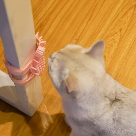 Corner Pet Brush Massage Rubbing Board Multifunctional Silicone Self Grooming Comb Cat Scratcher