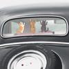 Cartoon Drei Kätzchen Glas Auto Hintergrund Verschönerung Dekoration Aufkleber