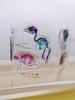New World Animal Bones Crylic Transparent Skeleton Specimen Kitan Gashapon Capsule Toys Collection