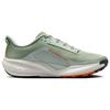 Nike ACG Pegasus Trail Jade Horizon Scarpe da Ginnastica da Uomo Verde Chiaro-Argento Arancione Sicurezza HV8116-310