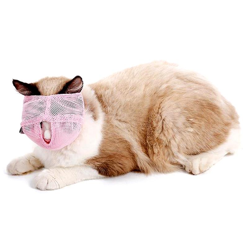 cat muzzle nylon