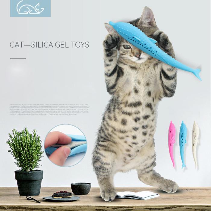small cat toothbrush