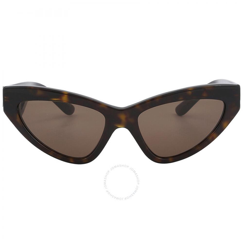 

Dolce Gabbana Dark Brown Cat Eye Ladies Sunglasses DG4439 502 73 55