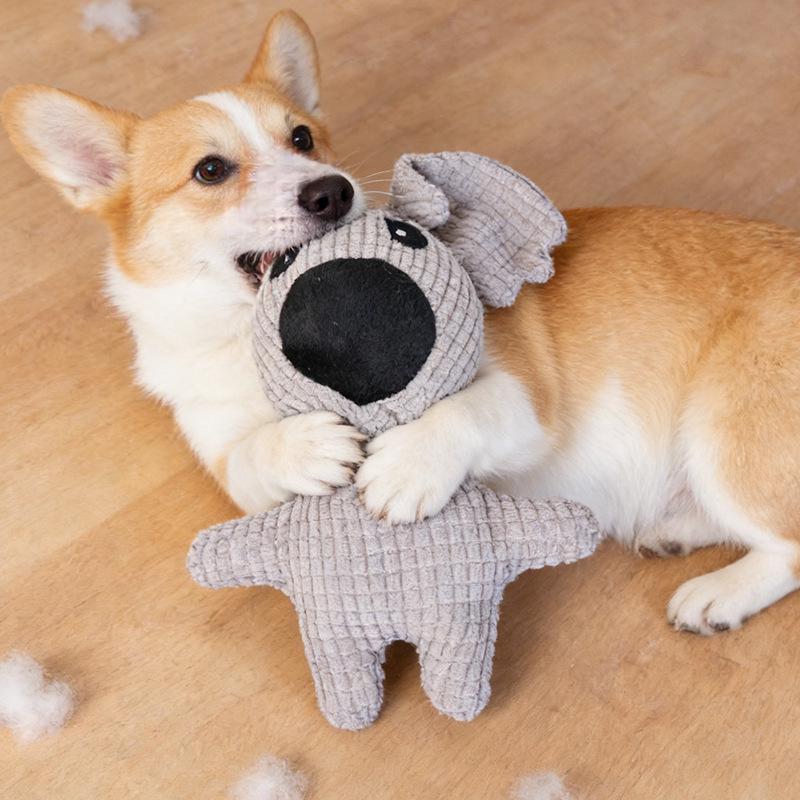 Pet Fun Squeaky Dog Toys - Cute & Entertaining Pet Supplies