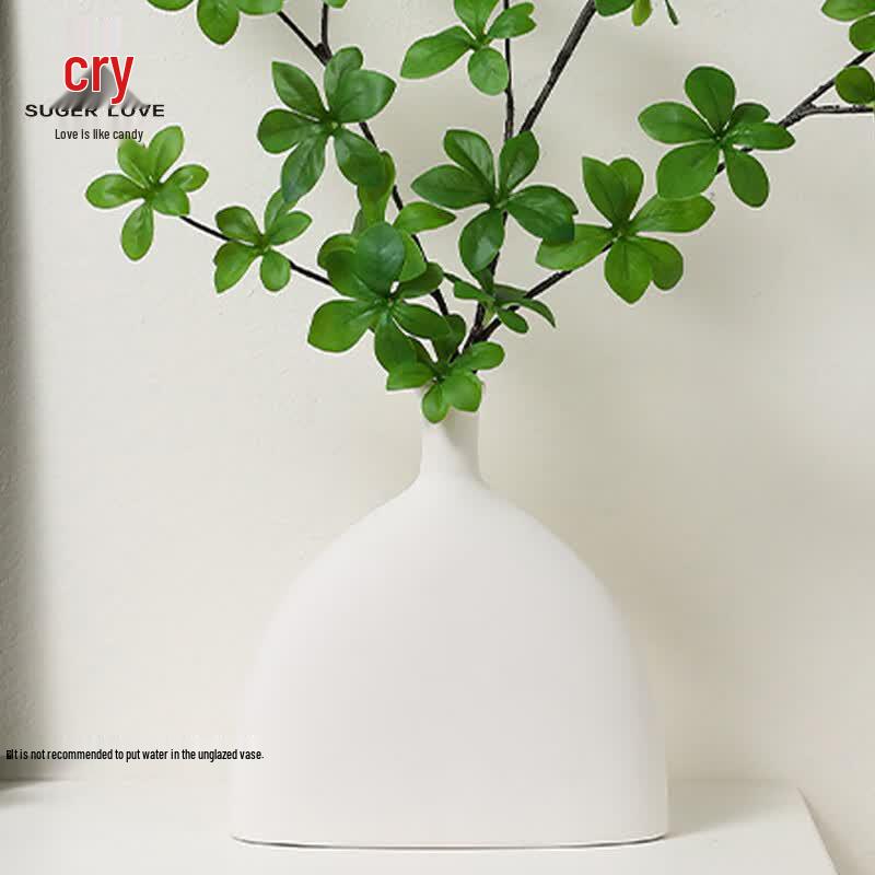 Modern Ceramic Decorative Vases