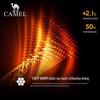 Camel Unisex Hooded Winter Sports Down Jacket