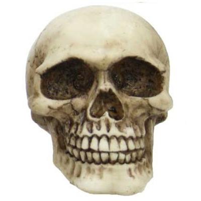 [R6681] - Beżowa figurka z żywicy „Czaszka” - 95x67x65 mm