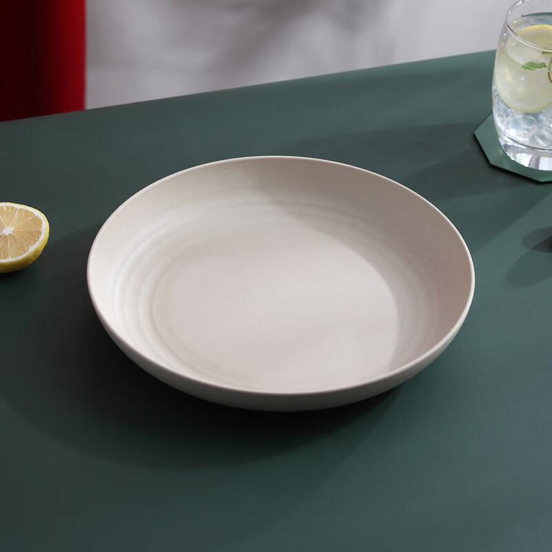ZISIZ Disposable Plastic Plate